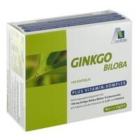 GINKGO 100 mg Kapseln+B1+C+E